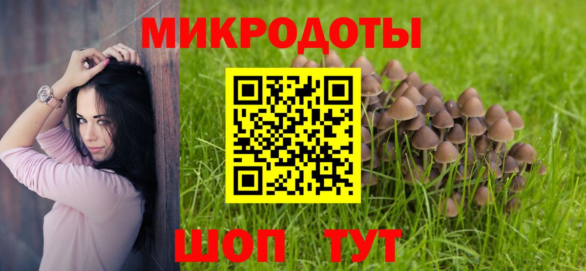 Галлюциногенные грибы Cubensis  Псилоцибиновые грибы Psilocybe  Белово  Вход с VPN 