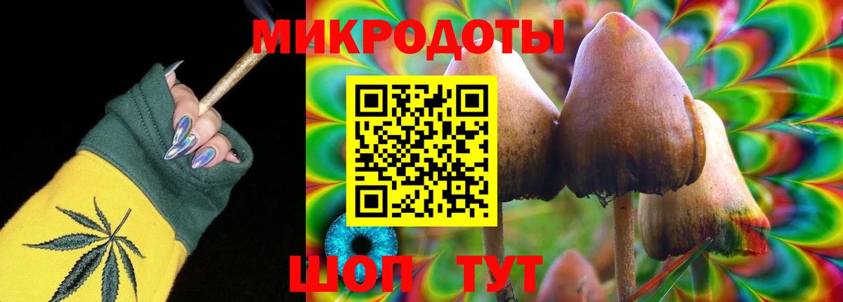 Псилоцибиновые грибы MAGIC MUSHROOMS Белово